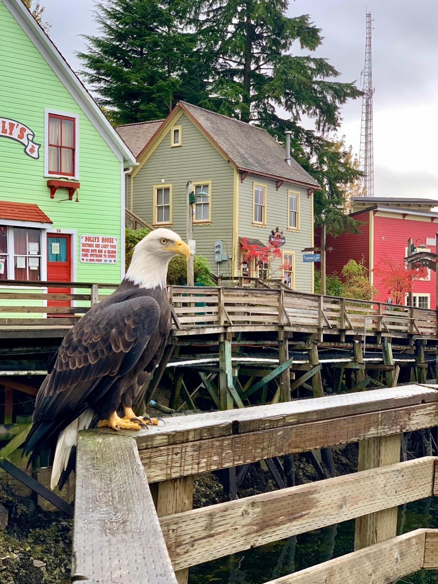 Inn At Creek Street Ketchikan Exterior photo